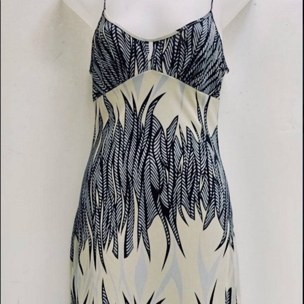 BCBG Silk Dress